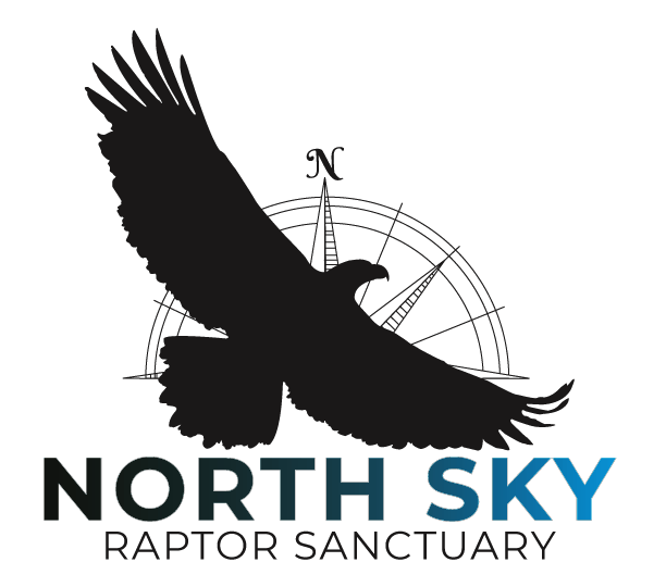 North Sky Raptor Sanctuary